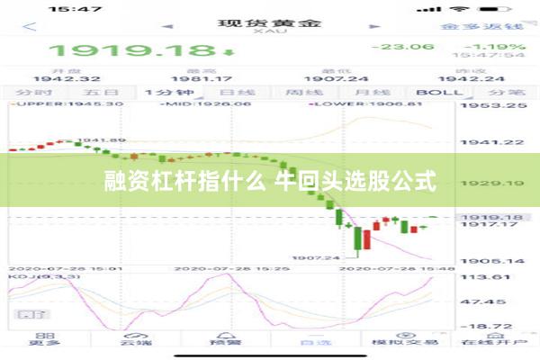 融资杠杆指什么 牛回头选股公式