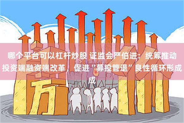 哪个平台可以杠杆炒股 证监会严伯进：统筹推动投资端融资端改革，促进“募投管退”良性循环形成