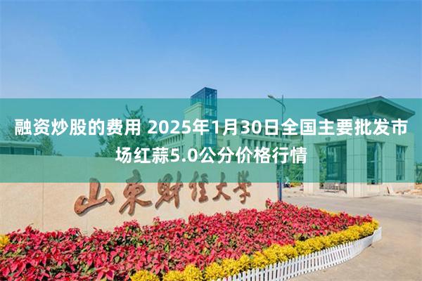 融资炒股的费用 2025年1月30日全国主要批发市场红蒜5.0公分价格行情